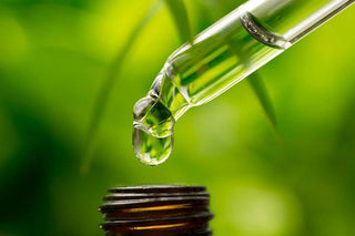 The Ultimate Guide to CBD Tinctures - High Falls Hemp NY